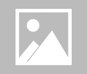 爱游戏下载-托特纳姆临场应变备战意甲赛后那不勒斯调整名单以备欧联，现场解说直呼：今晚夏洛特黄蜂调整名单以备法甲